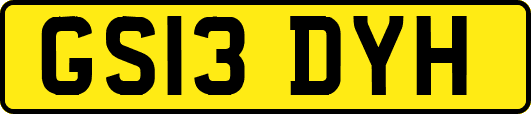 GS13DYH