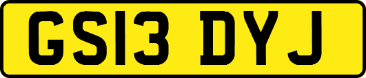 GS13DYJ