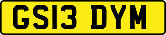 GS13DYM