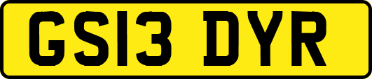 GS13DYR