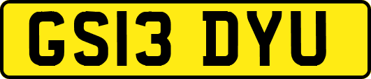 GS13DYU