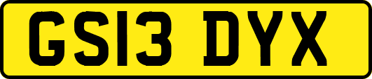 GS13DYX