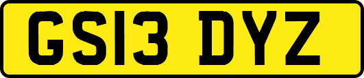 GS13DYZ