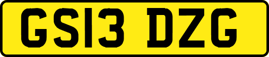 GS13DZG