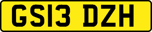 GS13DZH