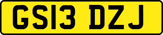 GS13DZJ