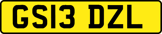 GS13DZL