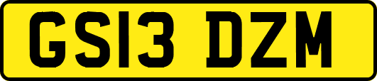 GS13DZM