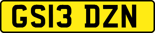 GS13DZN