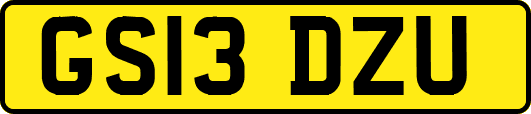 GS13DZU