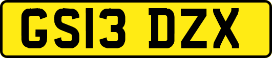 GS13DZX