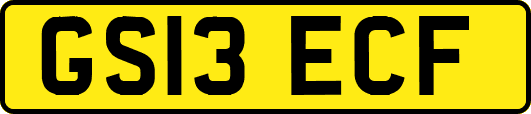 GS13ECF