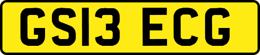 GS13ECG