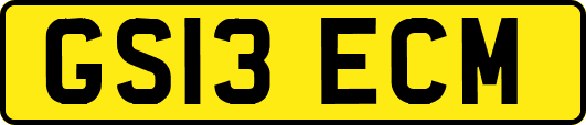 GS13ECM