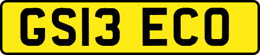 GS13ECO