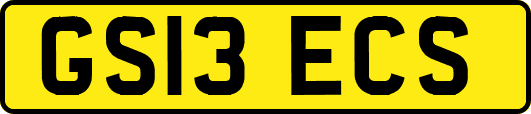 GS13ECS