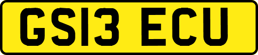 GS13ECU