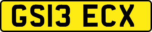 GS13ECX