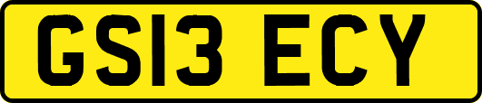 GS13ECY