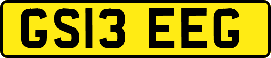 GS13EEG
