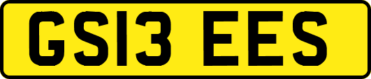 GS13EES