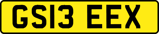 GS13EEX
