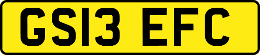 GS13EFC