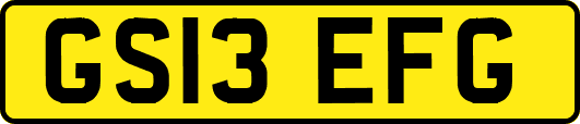 GS13EFG