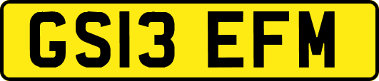 GS13EFM