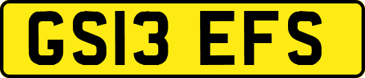 GS13EFS