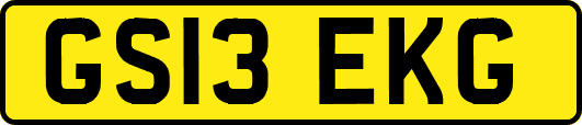 GS13EKG