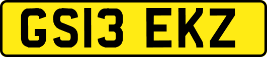 GS13EKZ