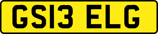 GS13ELG
