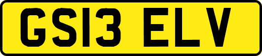 GS13ELV