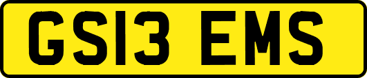 GS13EMS