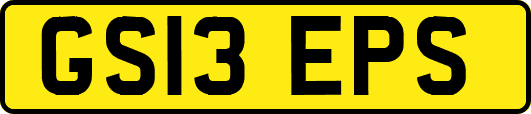 GS13EPS
