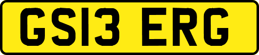 GS13ERG