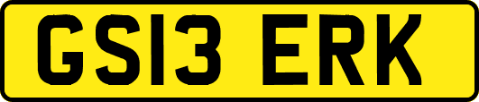 GS13ERK
