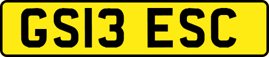 GS13ESC