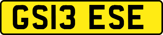 GS13ESE