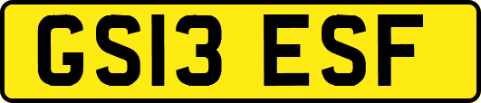 GS13ESF
