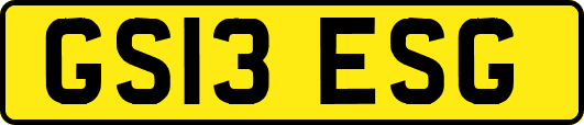 GS13ESG