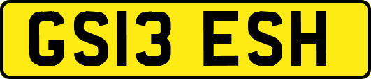 GS13ESH