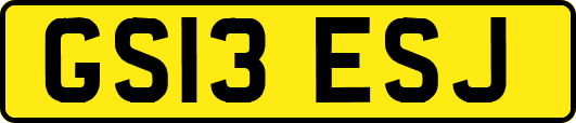 GS13ESJ