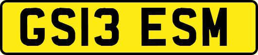 GS13ESM