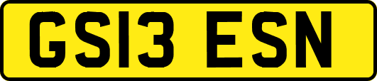 GS13ESN