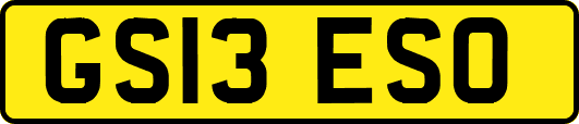 GS13ESO