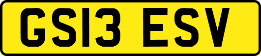 GS13ESV