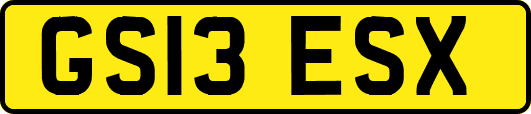 GS13ESX