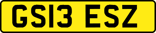 GS13ESZ